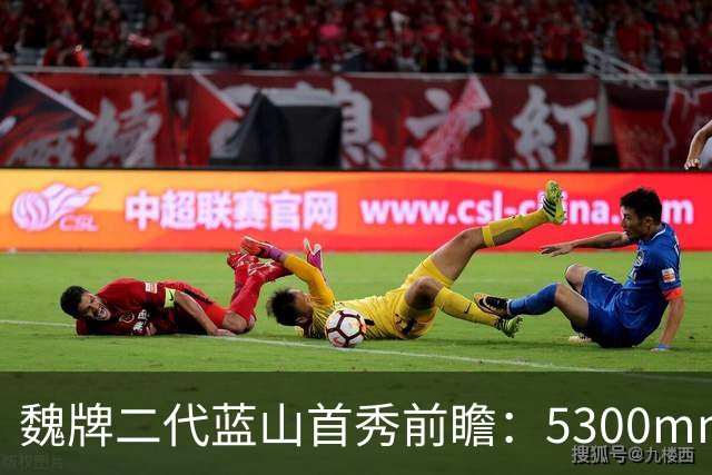 魏牌二代蓝山首秀前瞻：5300mm的方盒子、装了一套2.0T四挡混动